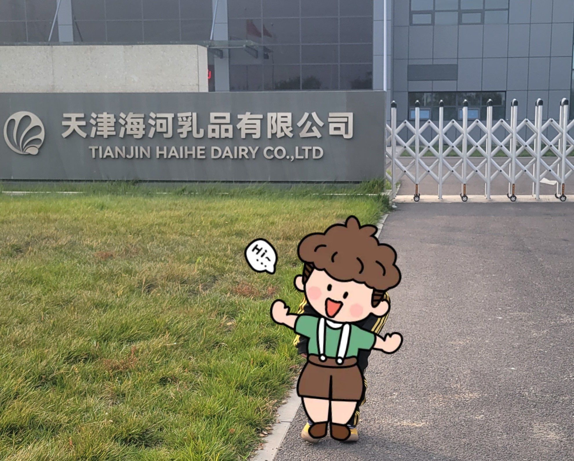 探秘海河乳品工厂 一杯牛奶的科技与匠心之旅